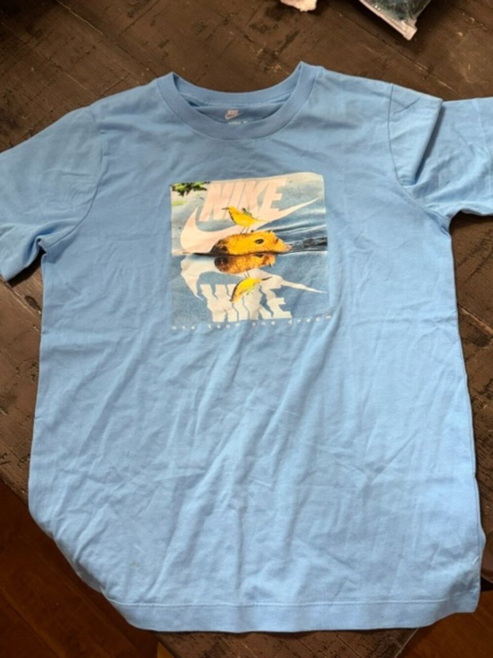 Nike Kids Graphic Tee Light Blue "One Team One Dream" Capybara Shirt